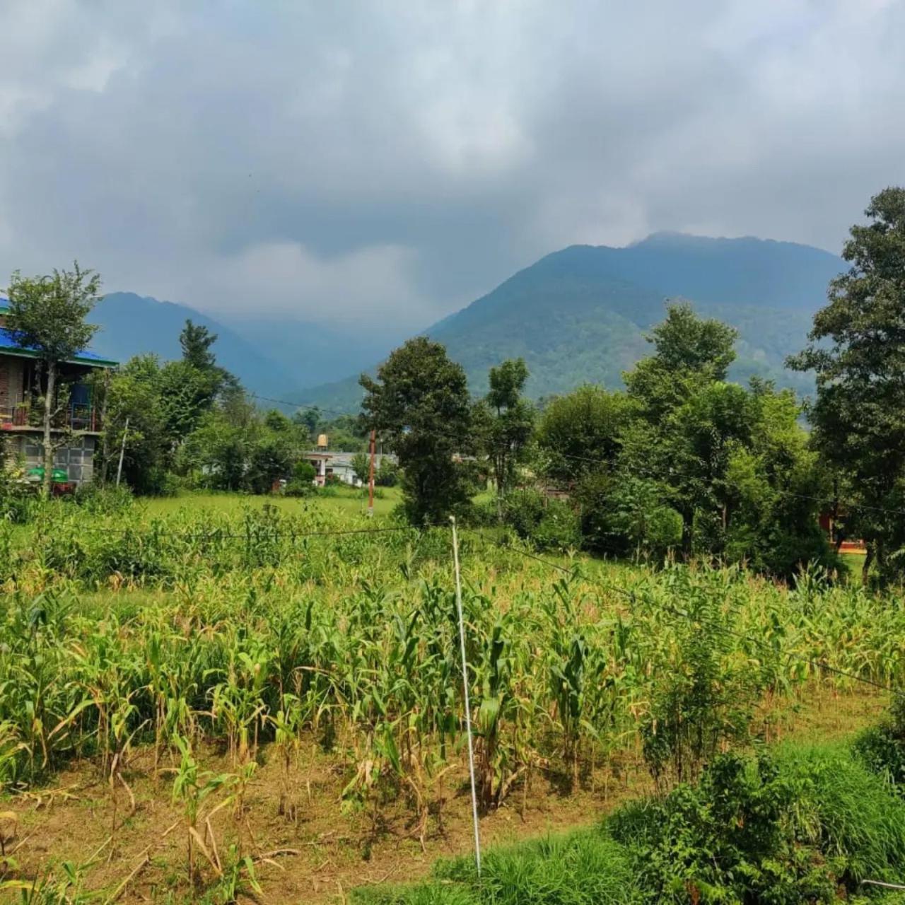 Aditya Homestay Bir-Billing Surrounded By Mountains Buitenkant foto