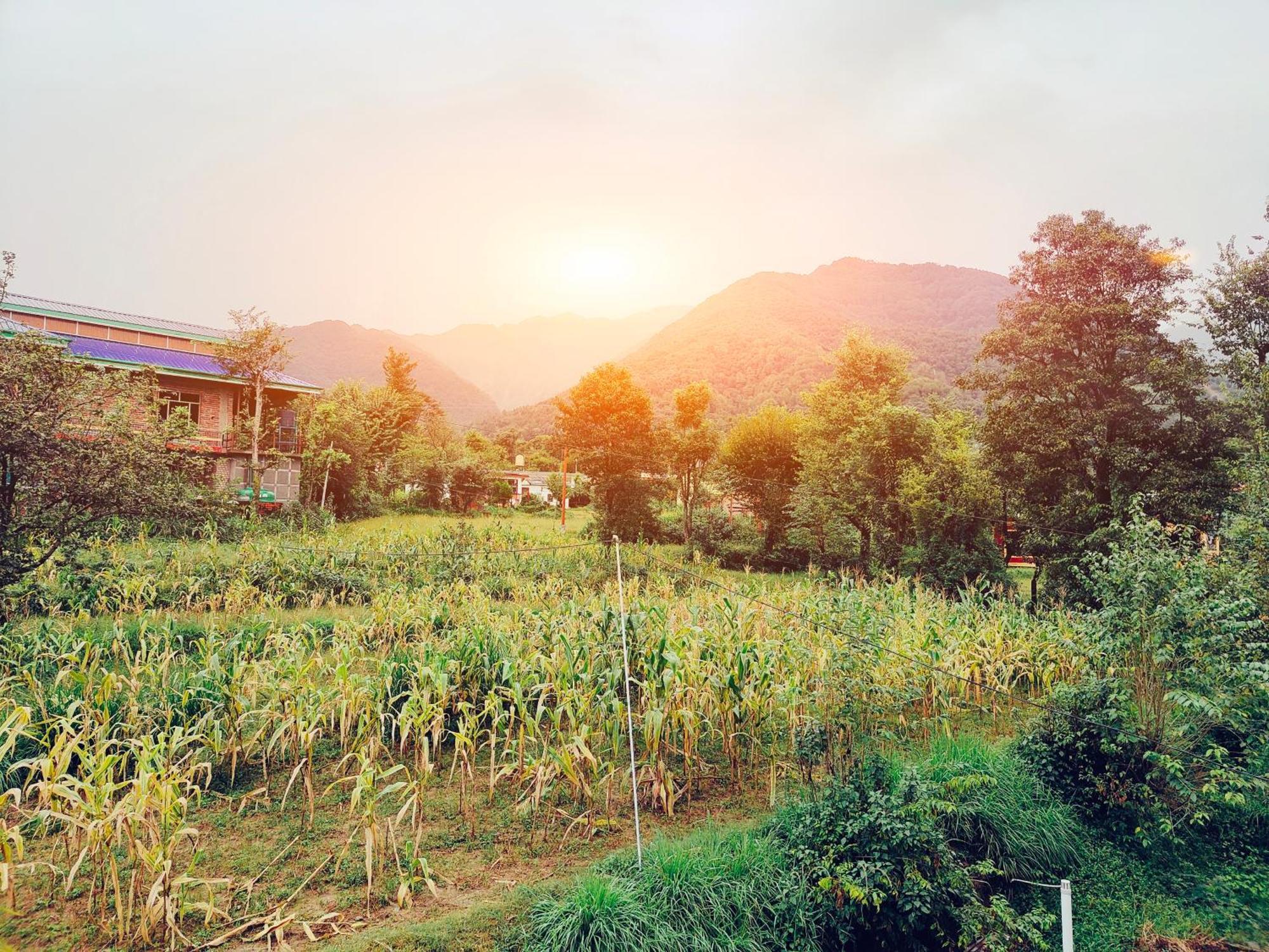 Aditya Homestay Bir-Billing Surrounded By Mountains Buitenkant foto